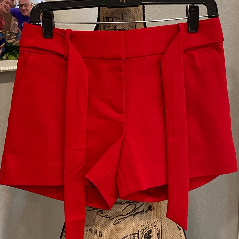 Ann Taylor Shorts